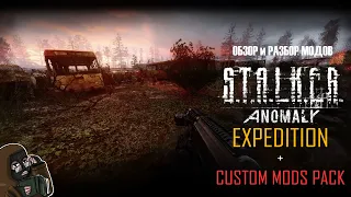 Обзор STALKER Anomaly Expedition + Custom Mods Pack - Финалка. Теперь в это можно играть!