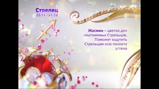 ЦВЕТОК ДЛЯ СТРЕЛЬЦА | оформление тв 3 2013