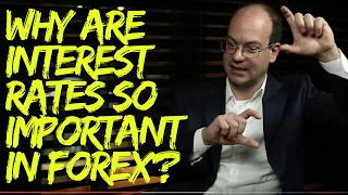 Why are Interest Rates so Important for Forex Traders?