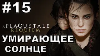 A Plague Tale Requiem ► #15 УМИРАЮЩЕЕ СОЛНЦЕ