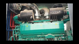 Diesel Generator Wet Stacking (Underloading)