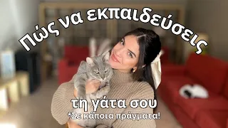 Πως να εκπαιδεύσεις τη γάτα σου (σε κάποια πράγματα!)