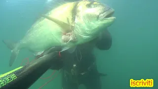 Pesca Sub : Orata da sogno 4,7 kg