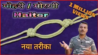 How To Make a Unique Rope Halter ( मोरखी/मोहरी कैसे बनाए ) / @Look My Knots