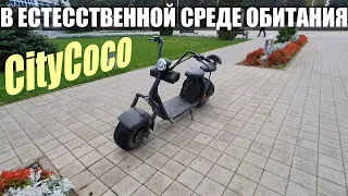 Обзор на электроскутер CityCoco (Сити Коко) / Доработки и улучшения