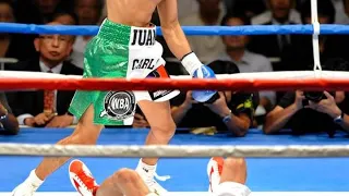 DESTROYED UNDEFEATED BOXER | Jorge Linares vs Juan Carlos Salgado | TKO (Full Highlight)