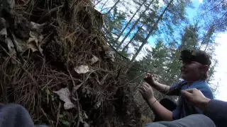 Yurt in the red river gorge