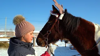 В гости к лошадкам. Комсомольск-на-Амуре 2022.