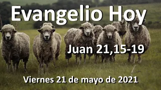 EVANGELIO DEL DIA - Viernes 21 de mayo de 2021 - Juan 21,15-19