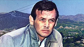The Fugitive - The Life and Sad Ending® of David Janssen