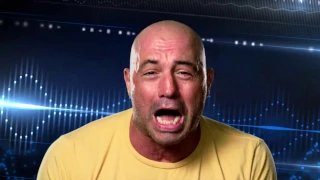 UFC 205: Rogan Riffs