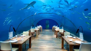 Top Underwater Hotels | Luxury Underwater Hotel Rooms