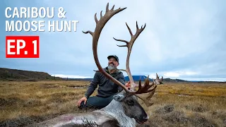 MOOSE & CARIBOU | EP. 1 | 4K FILM