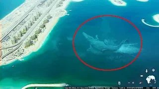 7 Mysterious Deep Sea Creatures Spotted On Google Earth #3