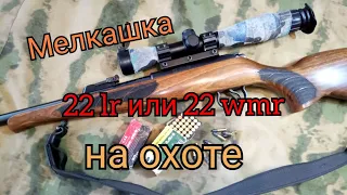 Какой калибр выбрать? CZ-455. 22 LR. калибр 5,6 мм. мелкашка .стоит ли брать