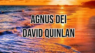 AGNUS DEI - DAVID QUILAN LYRICS