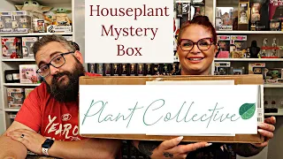 $100 Plant Collective Houseplant Mystery Box