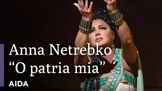 "O patria mia" | Aida | Great Performances at the Met