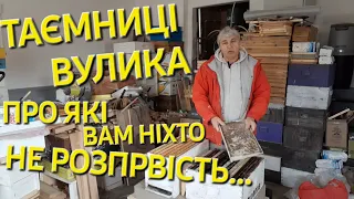 Таємниці вулика про які вам ніхто не розповість... #бджільництвов6тирамвуликах