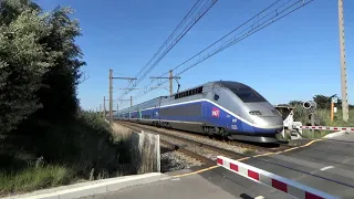 Trains INTERCITES TER TGV AVE et FRET PN 45 VILENEUVE LES MAGUELONE