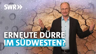 Dürrefolgen: So viel Regen brauchen wir jetzt | SWR Wissen