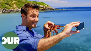 Gino Catches and Cooks Sardinian Seafood | Gino's Italian Escape E15 | Our Taste