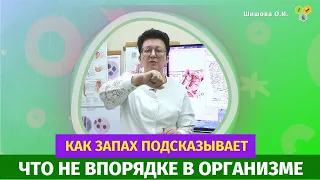 О чем расскажет пот, как запах подсказывает что не впорядке в организме?