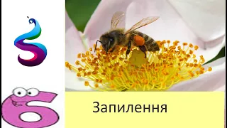 запилення