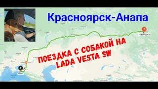 Красноярск-Анапа , путешествуем с собакой на Lada Vesta SW