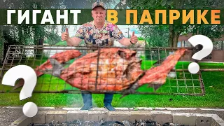 ШАШЛЫК ИЗ РЫБЫ НА ОГРОМНОМ МАНГАЛЕ ! КАК ПРИГОТОВИТЬ И НАКОРМИТЬ ГОСТЕЙ  ! #рыба #шашлык #рецепт