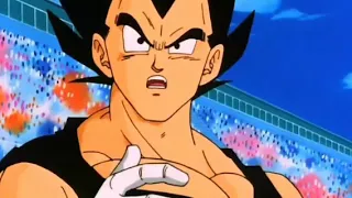 Goku explain Vegeta and others about rebirth of Buu