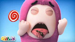 Formiche 🐜 | Cartoni Animati 📺 | Video divertenti | Oddbods Italia