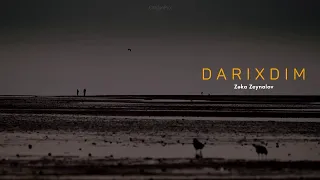 Zəka Zeynalov — Darıxdım (Rəsmi Audio)