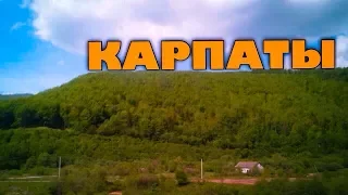 Карпаты.Поднимаемся на гору. Вся красота внизу. Это супер.