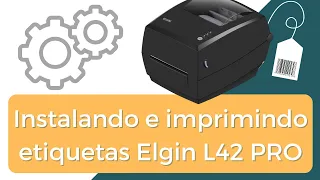 Instalação da impressora L42 PRO e impressão de etiquetas