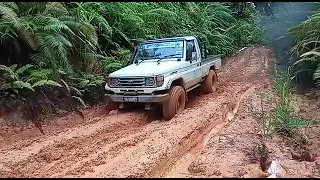 Toyota Land Cruiser 75 Off-Road 4x4 | Overland Expedition Jungle Adventure offroad