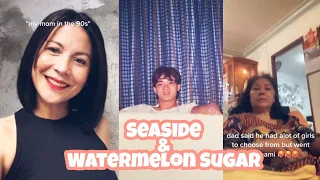 Seaside & Watermelon Sugar Tiktok Compilation