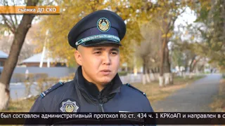 5 суток ареста за разбитую остановку получил 21-летний петропавловец