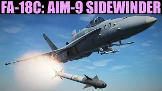 FA-18C Hornet: Aim-9 Sidewinder Missile (SEEK/STT) Tutorial | DCS WORLD