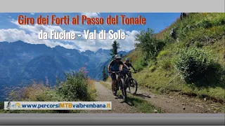 Giro dei Forti al Passo del Tonale - da Fucine (Val di Sole)