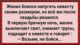 Как Жених Напугал Невесту Своим Размером! Сборник Свежих Анекдотов! Юмор!