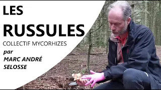 Épisode 14 : LES RUSSULES - Marc André SELOSSE & le Collectif Mycorhizes