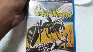 THE WASP WOMEN 1959 SCREAM FACTORY BLU RAY UNBOXING REVIEW!!!