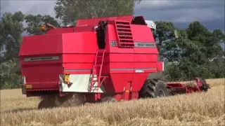 Harvest 2016   Combining Winter Barley with Massey 32