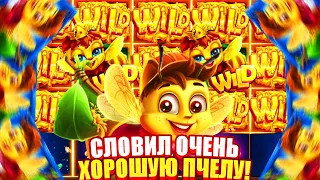 СЛОВИЛ ОЧЕНЬ УДАЧНУЮ ПЧЕЛУ ПОД КОНЕЦ В 3 BUZZING WILDS!!