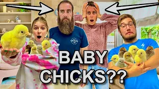 PRANKING my PARENTS with 60 BABY CHICKS!!!