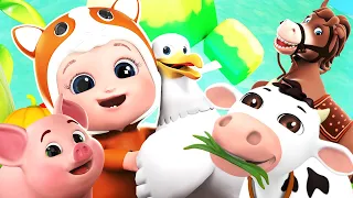 Old Macdonald Had a Farm Dance Song And More Kids Songs & Nursery Rhymes By @happybobokids