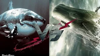 Megalodon VS. Moby Dick | Confronto de Rap | Part:AkiraRap