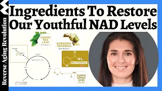 The FULL Ingredient List To RESTORE Our Youthful NAD Levels | NAD Scientist  Dr. Nichola Conlon