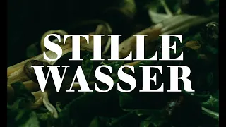 Stille Wasser - Nach dem Roman von Patricia Highsmith - Jetzt auf Blu-ray und DVD! - Filmjuwelen